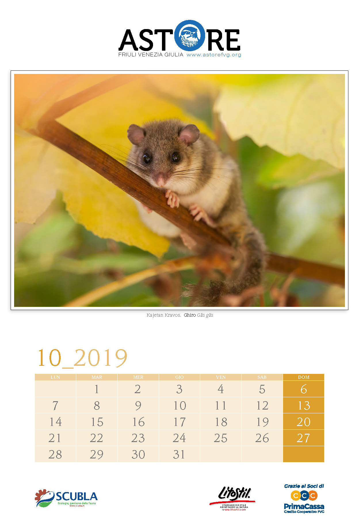 Calendario Astore 2019b_Pagina_11